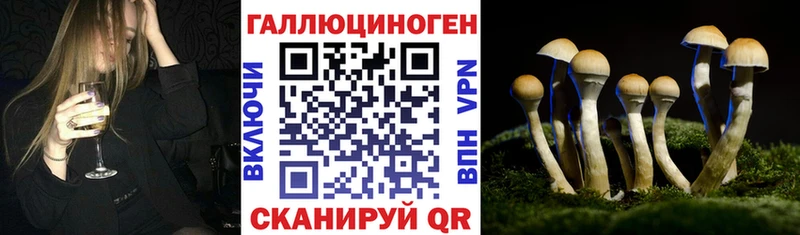 Купить где  Верхнеуральск  Галлюциногенные грибы Magic Shrooms 
